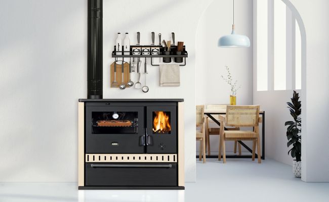 Wood Burning Stove Prity